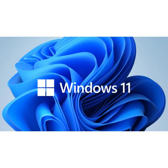 Microsoft Windows 11 Pro – Get Genuine Kit (GGK) лиценз за легализация, 1 пакет, DVD медия (4YR-00316)