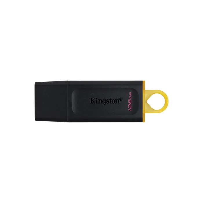 Μνήμη USB Kingston DTX, 128 GB, USB 3.2 Gen 1, εγγύηση 60 μηνών